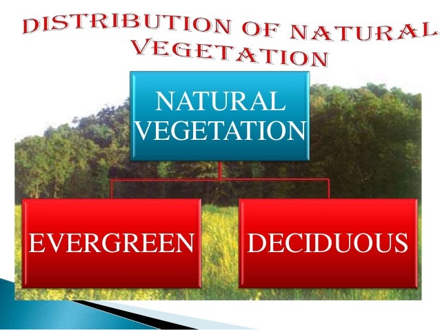 Land Soil Water Natural Vegetation And Wildlife Land Soil Water Natural Vegetation And Wildlife