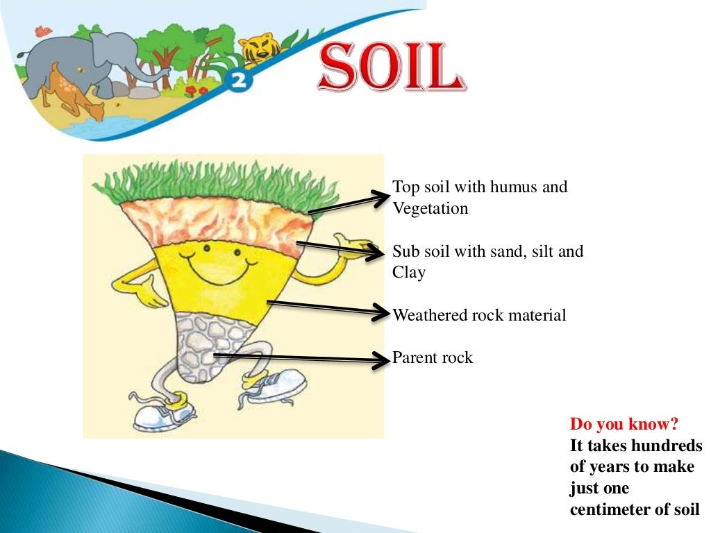 Land,soil,water,natural vegetation and wildlife VIII