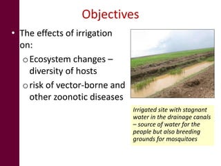 Land use change and the risk of selected zoonotic diseases: Observations from a case study in an arid/semi-arid area in Kenya
