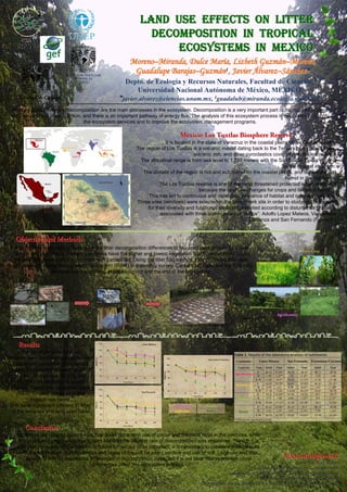 LAND USE EFFECTS ON LITTER
                                                                                                                                     DECOMPOSITION IN TROPICAL
                                                                                                                                         ECOSYSTEMS IN MEXICO
                                                                                                                    Moreno–Miranda, Dulce María, Lizbeth Guzmán–Moreno,
                                                                                                                     Guadalupe Barajas–Guzmán1, Javier Álvarez–Sánchez*
                                                                                                               Depto. de Ecología y Recursos Naturales, Facultad de Ciencias,
                                                                                                                  Universidad Nacional Autónoma de México, MÉXICO
    Facultad de Ciencias                                                                                 *javier.alvarez@ciencias.unam.mx, 1guadalub@miranda.ecologia.unam.mx
  Primary productivity and decomposition are the main processes in the ecosystem. Decomposition is a very important part of the nutrient cycling,
 give resources to plant nutrition, and there is an important pathway of energy flux. The analysis of this ecosystem process is necessary to identify
                                    the ecosystem services and to improve the ecosystem management programs.

                                                                                                                                                     Mexico: Los Tuxtlas Biosphere Reserve
                                                                                                                                         It is located in the state of Veracruz in the coastal plains of the Gulf of Mexico.
                                                                                                                           The region of Los Tuxtlas is a volcanic massif dating back to the Tertiary period, lava flows,
                                                                                                                                                        volcanic ash, and other pyroclastics cover almost the entire area.
                                                                                                                             The altitudinal range is from sea level to 1,780 meters with the San Martin Tuxtla volcano
                                                                                                                                                                                                   as the highest elevation.
                                                                                                                              The climate of the region is hot and sub humid on the coastal plains, and temperate and
                                                                                                                                                                                                    humid in the highlands.
                                                                                                                                      The Los Tuxtlas reserve is one of the most threatened protected areas in Mexico
                                                                                                                                                           because the land use changes for crops and livestock farming.
                                                                                                                                This has led to continuous and rapid disappearance of habitat and natural vegetation.
                                                                                                                           Three sites (windows) were selected in the benchmark site in order to study soil organisms
                                                                                                                                for their diversity and functional attributes, selected according to disturbance gradient,
                                                                                                                                       associated with three communities or “ejidos”: Adolfo Lopez Mateos, Venustiano
                                                                                                                                                                                   Carranza and San Fernando (Figure 1).
                                          Figure 1. Sites (windows) in Los Tuxtlas Region (Modificado de Garcia, 2005).




   Objective and Methods
The aim of this study was to determine the litter decomposition differences in four land uses (Figure 2). López
 Mateos and Venustiano Carranza windows have the higher and lowest vegetation cover, respectively. Using
  the leaf litter, a six month experiment was carried out. Using the litter bag method, litter decomposition was
estimated with the remaining weight proportion (RWP) in a monthly survey. Carbon, Nitrogen and the C:N ratio
                      contents were quantified, at the beginning and the end of the experiment.



                                                                                                             Labels of aluminium
                                                                                                             for every bag of
                                                                                                             mesh for his
                                                                                                             identification




                                                                                                                                                                                                             Figure 2. Land uses.

                                                                                                                                            Stock exchanges placed in the use of corresponding soil
       Litter of every type of land use                                                                              Litter bags




    Results
       For San Fernando window
                                                                                                                                                                                                      Table 1. Results of the laboratory analysis of nutriments
                                                                                                                                                                                                      Table 1
(intermediate disturbance regime) and
                                                                                                                                                                                                        Community          Lopez Mateos              San Fernando       Venustiano Carranza
   Venustiano Carranza, pasture had
                                                                                                                                                                                                         Land use       Time Initial      Final      Initial   Final      Initial   Final
  higher decomposition rates, and the                                                                                                                                                                                    C      46.53    25.44* *   46.29       46.85     48.73     45.48
                                                                                                                                                                                                      Agroforestry
    dry weight loss was 59.63% and                                                                                                                                                                                       N       1.95     1.27*      1.72       2.18*
                                                                                                                                                                                                                                                                    *      1.53      1.68
                                                                                                                                                                                                                        C:N     23.87     19.97     26.83      21.52*
                                                                                                                                                                                                                                                                    *     31.91     27.08
     68.74%, respectively. At López                                                                                                                                                                                      C      44.47    26.09*     44.81      29.49*     46.41     26.55**
                                                                                                                                                                                                       Maize crop
  Mateos, higher decomposition rates                                                                                                                                                                                     N       2.53       2.1      0.38       0.61*
                                                                                                                                                                                                                                                                    *      1.87     1.28**
                                                                                                                                                                                                                        C:N     17.58     12.42     118.86     48.23*
                                                                                                                                                                                                                                                                    *     24.87     20.75
     (54.37%) were observed in the                                                                                                                                                                                       C       42.6    18.54*     43.49       43.23      45.1     39.1**
                                                                                                                                                                                                         Pasture         N       0.77      1.08      0.84       1.22*       0.8     1.22**
           tropical rain forest.                                                                                                                                                                                        C:N     55.44    17.11*
                                                                                                                                                                                                                                              *      51.68     35.38*
                                                                                                                                                                                                                                                                    *     56.7      32.03*
                                                                                                                                                                                                                                                                                         *
 C:N were significant different in most                                                                                                                                                                                  C      46.01    32.96*      46.25      43.9      46.15     45.28
  of the windows and land use (Table                                                                                                                                                                      Forest         N       2.22     1.97        1.85     2.21**      1.29     1.65*
                                                                                                                                                                                                                                                                                        *
                                                                                                                                                                                                                        C:N     20.75    16.72*      25.02     19.83*
                                                                                                                                                                                                                                                                    *     35.79     27.48*
                                                                                                                                                                                                                                                                                         *
                    1).                                                                                                                                                                               * Differences significant p<0.05
                                                                                                                                                                                                      * Differences significant p<0.05


       Conclusion
   In general the slowest decomposition is given in the land use of maize and the most rapid in the pastures, while
     in the site with major coverage (Lopez Mateos) the slowest rate of decomposition was registered. Though it is
    true that the quality of the fraction to foliate turned out to be important, it is necessary to correlate these results
     with the information of microclimate and fauna of the soil for every window and use of soil. Land use and litter
         quality (C and N) determines differences in decomposition rates, but it is not clear that vegetation cover                                                                                                                                 Acknowledgements
                                          differences affect this ecosystem process.                                                                                                                                              Irene Sánchez Gallén
                                                                                                                                                                                                                                        Sá        Gallé
                                                                                                                                                                                                         Tropical Biology Station Los Tuxtlas, UNAM
                                                                                                                                                                                                                                         Tuxtlas,
                                                                                                                                                                                            Laboratory of Fertility of Soils, Colegio de Posgraduados
                                                                                                                                                                                                                       Soils,
                                                                                                                                                                                                            Mariel Ramírez and Alejandra Escamilla
                                                                                                                                                                                                                     Ramí
                                                                                                                                                                             Dra. Isabelle Barois, Martín de los Santos and Dr. José Antonio García
                                                                                                                                                                                           Barois, Martí                            José          Garcí
 