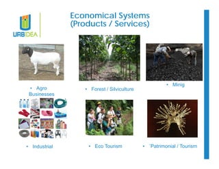 Economical Systems 
(Products / Services) 
• Agro • Forest / Silviculture 
Businesses 
• Minig 
• Industrial • Eco Tourism • ¨Patrimonial / Tourism 
 