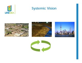Systemic Vision 
 