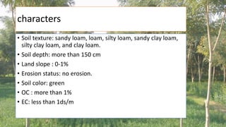 characters
• Soil texture: sandy loam, loam, silty loam, sandy clay loam,
silty clay loam, and clay loam.
• Soil depth: more than 150 cm
• Land slope : 0-1%
• Erosion status: no erosion.
• Soil color: green
• OC : more than 1%
• EC: less than 1ds/m
 