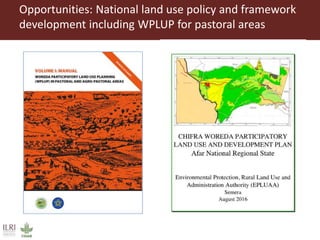 Land use and tenure in pastoral and agro-pastoral production systems