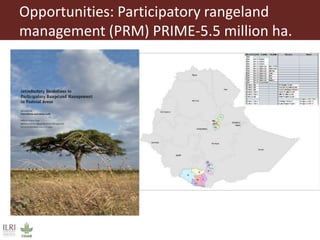 Land use and tenure in pastoral and agro-pastoral production systems