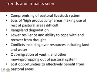 Land use and tenure in pastoral and agro-pastoral production systems