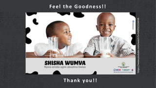 How can animal source foods contribute to nutrition?