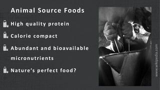 How can animal source foods contribute to nutrition?