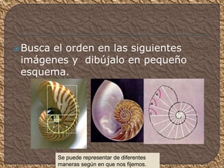 Busca el orden en las siguientes
imágenes y dibújalo en pequeño
esquema.
Se puede representar de diferentes
maneras según en que nos fijemos.
 