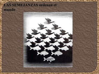 LAS SEMEJANZAS ordenan el
mundo
 