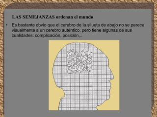 • Es bastante obvio que el cerebro de la silueta de abajo no se parece
visualmente a un cerebro auténtico, pero tiene algunas de sus
cualidades: complicación, posición,..
LAS SEMEJANZAS ordenan el mundo
 