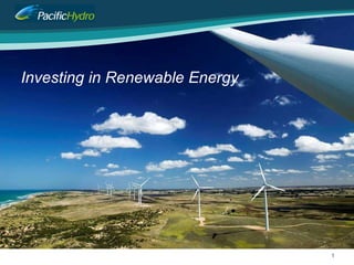 Investing in Renewable Energy  