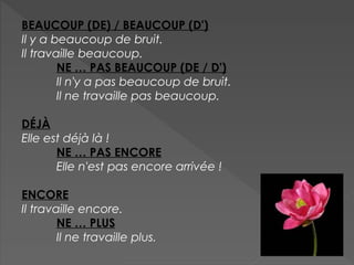 BEAUCOUP (DE) / BEAUCOUP (D')
Il y a beaucoup de bruit.
Il travaille beaucoup.
NE … PAS BEAUCOUP (DE / D')
Il n'y a pas beaucoup de bruit.
Il ne travaille pas beaucoup.
DÉJÀ
Elle est déjà là !
NE … PAS ENCORE
Elle n'est pas encore arrivée !
ENCORE
Il travaille encore.
NE … PLUS
Il ne travaille plus.
 