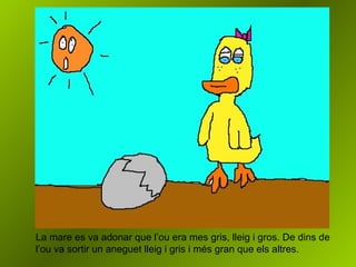 La mare es va adonar que l’ou era mes gris, lleig i gros. De dins de l’ou va sortir un aneguet lleig i gris i més gran que els altres.  