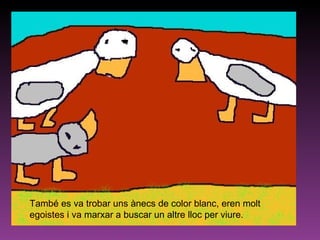 També es va trobar uns ànecs de color blanc, eren molt egoistes i va marxar a buscar un altre lloc per viure.  