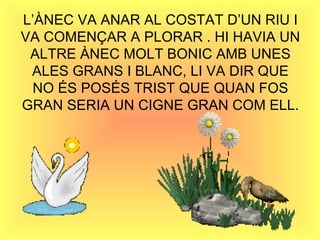 L’ÀNEC VA ANAR AL COSTAT D’UN RIU I VA COMENÇAR A PLORAR . HI HAVIA UN ALTRE ÀNEC MOLT BONIC AMB UNES ALES GRANS I BLANC, LI VA DIR QUE NO ÉS POSÉS TRIST QUE QUAN FOS GRAN SERIA UN CIGNE GRAN COM ELL. 