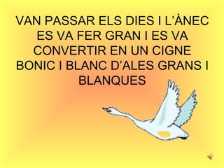 VAN PASSAR ELS DIES I L’ÀNEC ES VA FER GRAN I ES VA CONVERTIR EN UN CIGNE BONIC I BLANC D’ALES GRANS I BLANQUES 