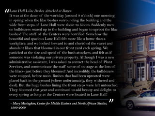 Lane Hall Lilac Bushes Attacked at Dawn
It was at the dawn of the workday (around 8 o’clock) one morning
in spring when the lilac bushes surrounding the building and the
wide front steps of Lane Hall were about to bloom. Suddenly men
on bulldozers roared up to the building and began to uproot the lilac
bushes! The staff of the Centers were horrified. Somehow the
beautiful and spacious Lane Hall felt more like a home than a
workplace, and we looked forward to and cherished the sweet and
abundant lilacs that bloomed in our front yard each spring. We
panicked at the size and speed of the bush attackers, and felt as if
someone was violating our private property. Although I was a new
administrative assistant, I was asked to contact the head of Plant
Services, and communicate the staff sense of outrage at the loss of
the lilacs- just before they bloomed! And incredibly, the bulldozers
were stopped, before noon. Bushes that had been uprooted were
placed back in the ground (where unfortunately, they withered and
died). But the huge bushes lining the front steps were left untouched.
They bloomed that year and continued to add beauty and delight to
every spring as long as the Centers were located in Lane Hall!
“
”- Mary Mostaghim, Center for Middle Eastern and North African Studies,
1980-2000
 