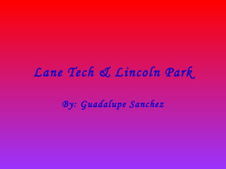 Lane Tech & Lincoln Park By: Guadalupe Sanchez 