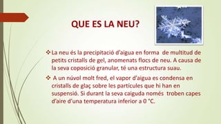 QUE ES LA NEU?
La neu és la precipitació d’aigua en forma de multitud de
petits cristalls de gel, anomenats flocs de neu. A causa de
la seva coposició granular, té una estructura suau.

 A un núvol molt fred, el vapor d’aigua es condensa en
cristalls de glaç sobre les partícules que hi han en
suspensió. Si durant la seva caiguda només troben capes
d’aire d’una temperatura inferior a 0 °C.

 