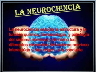 La neurociencia estudia la estructura y la
función química, farmacología, y patología
del sistema nervioso y de cómo los
diferentes elementos del sistema nervioso
interactúan y dan origen a la conducta
 