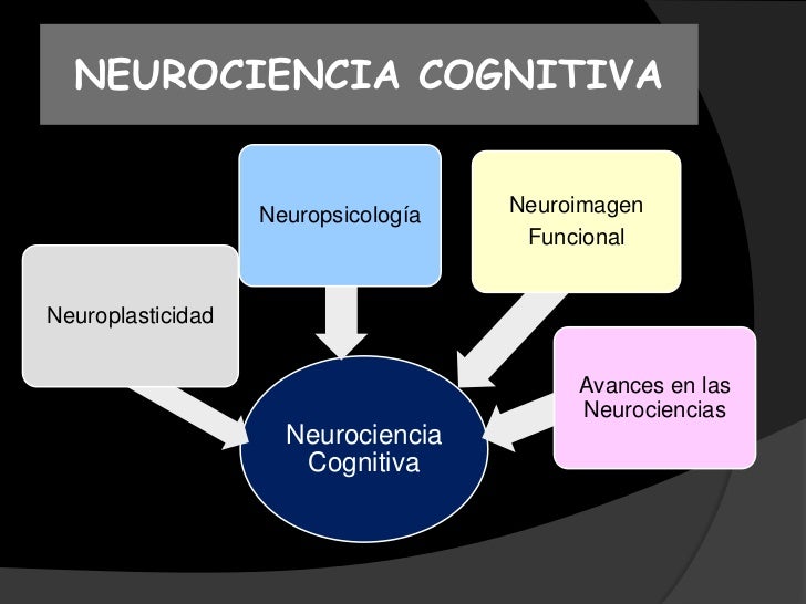 Resultado de imagen para NEUROCIENCIA COGNITIVA