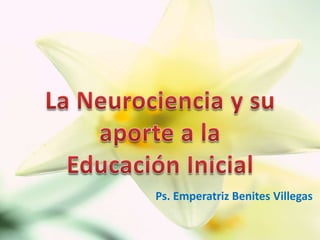 La Neurociencia y su aporte a la Educación Inicial Ps. Emperatriz Benites Villegas 