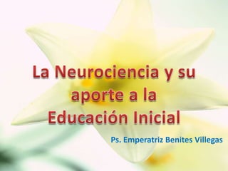 La Neurociencia y su aporte a la Educación Inicial,[object Object],Ps. Emperatriz Benites Villegas,[object Object]