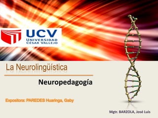 La Neurolingüística
Neuropedagogía
Expositora: PAREDES Huaringa, Gaby
Mgtr. BARZOLA, José Luis
 