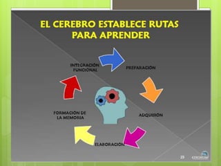 La neurologia