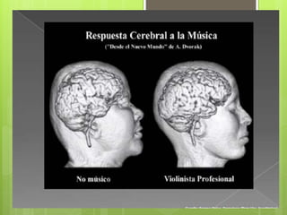 La neurologia