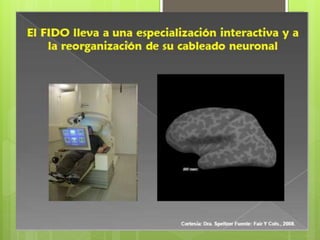 La neurologia