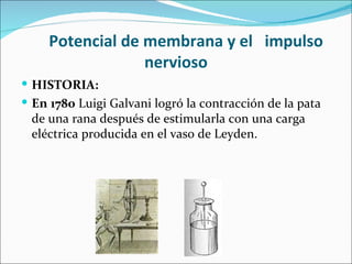 Potencial de membrana y el impulso
                  nervioso
 HISTORIA:
 En 1780 Luigi Galvani logró la contracción de la pata
 de una rana después de estimularla con una carga
 eléctrica producida en el vaso de Leyden.
 