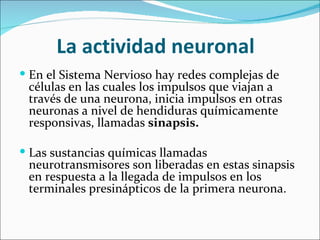 La actividad neuronal
 En el Sistema Nervioso hay redes complejas de
 células en las cuales los impulsos que viajan a
 través de una neurona, inicia impulsos en otras
 neuronas a nivel de hendiduras químicamente
 responsivas, llamadas sinapsis.

 Las sustancias químicas llamadas
 neurotransmisores son liberadas en estas sinapsis
 en respuesta a la llegada de impulsos en los
 terminales presinápticos de la primera neurona.
 