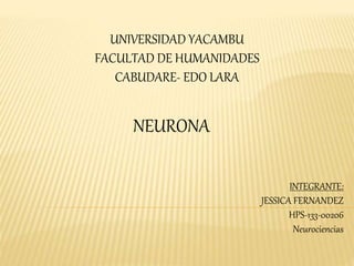 UNIVERSIDAD YACAMBU 
FACULTAD DE HUMANIDADES 
CABUDARE- EDO LARA 
INTEGRANTE: 
JESSICA FERNANDEZ 
HPS-133-00206 
Neurociencias 
NEURONA 
 