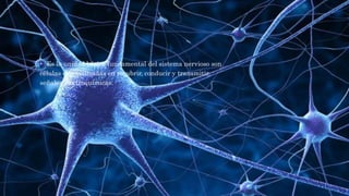 ¿QUÉ ES LA NEURONA?
• Es la unidad básica fundamental del sistema nervioso son
células especializadas en recubrir, conducir y transmitir,
señales electroquímicas.
 