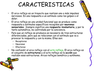 CARACTERISTICAS  El arco reflejo es un trayecto que realizan uno o más impulsos nerviosos. Es una respuesta a un estímulo como los golpes o el dolor. El arco reflejo es una unidad funcional que se produce como respuesta a estímulos específicos recogidos por  neuronas sensoriales.  Siempre significa una  respuesta involuntaria , y por lo tanto automática, no controlada por la conciencia. Para que un reflejo se produzca es necesario de tres estructuras diferenciadas, pero que se relacionan con el estímulo que va a provocar la respuesta y con la misma. Ellas son: Receptores Neuronas Efectores No confundir el arco reflejo con el  acto  reflejo . El arco reflejo es el conjunto de  estructuras  y el acto reflejo es la  acción  que realizan esas estructuras. Arcos reflejos somático y autónomo. 