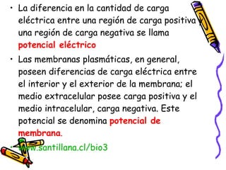 La diferencia en la cantidad de carga eléctrica entre una región de carga positiva y una región de carga negativa se llama  potencial eléctrico Las membranas plasmáticas, en general, poseen diferencias de carga eléctrica entre el interior y el exterior de la membrana; el medio extracelular posee carga positiva y el medio intracelular, carga negativa. Este potencial se denomina  potencial de membrana . www.santillana.cl/bio3   