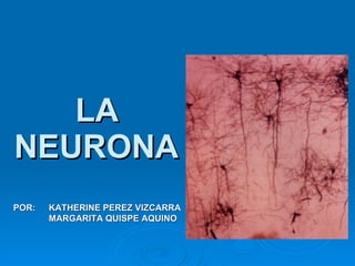 LA NEURONA POR:  KATHERINE PEREZ VIZCARRA MARGARITA QUISPE AQUINO 