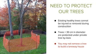 NEED TO PROTECT
OUR TREES
● Existing healthy trees cannot
be injured or removed during
construction
● Trees > 30 cm in diameter
are protected under private
tree by-laws
● You may not remove a tree
to build a laneway house
 