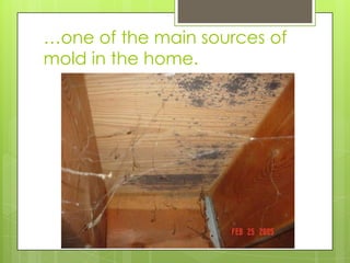 A Cellar That Needed  A Clean Space.