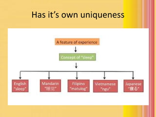 Has it’s own uniqueness
 