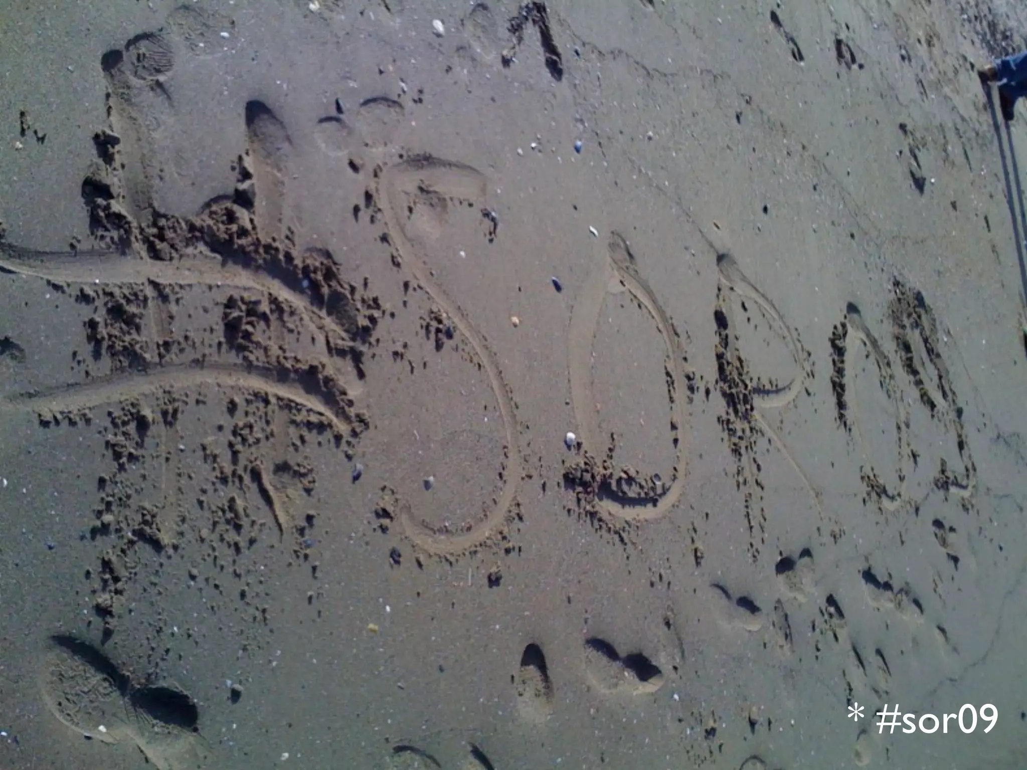 Ruby sittin' on the Couch