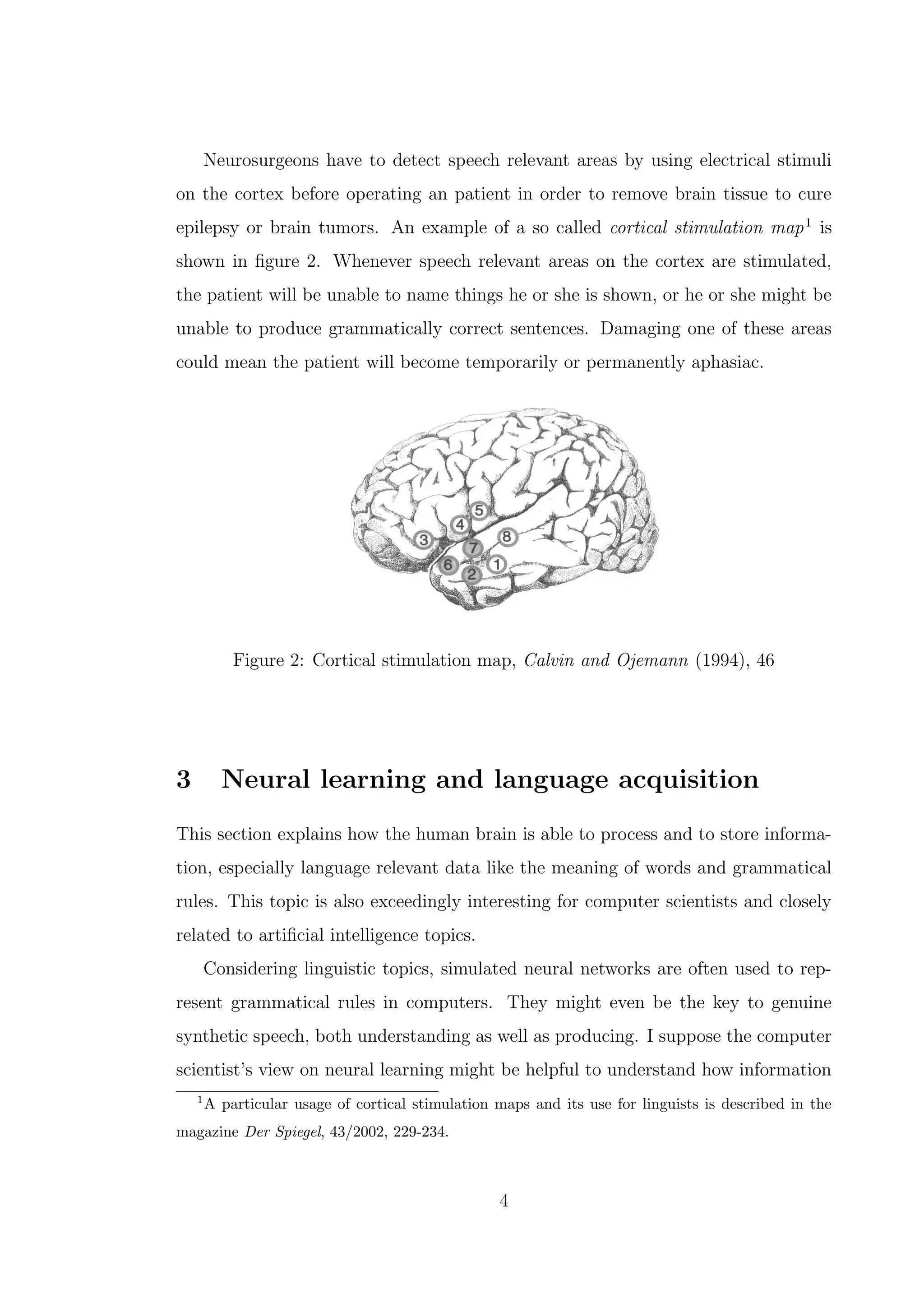 Neurosurgeons have to detect speech relevant areas by using electrical stimuli
on the cortex before operating an patient in order to remove brain tissue to cure
epilepsy or brain tumors. An example of a so called cortical stimulation map1
is
shown in ﬁgure 2. Whenever speech relevant areas on the cortex are stimulated,
the patient will be unable to name things he or she is shown, or he or she might be
unable to produce grammatically correct sentences. Damaging one of these areas
could mean the patient will become temporarily or permanently aphasiac.
Figure 2: Cortical stimulation map, Calvin and Ojemann (1994), 46
3 Neural learning and language acquisition
This section explains how the human brain is able to process and to store informa-
tion, especially language relevant data like the meaning of words and grammatical
rules. This topic is also exceedingly interesting for computer scientists and closely
related to artiﬁcial intelligence topics.
Considering linguistic topics, simulated neural networks are often used to rep-
resent grammatical rules in computers. They might even be the key to genuine
synthetic speech, both understanding as well as producing. I suppose the computer
scientist’s view on neural learning might be helpful to understand how information
1
A particular usage of cortical stimulation maps and its use for linguists is described in the
magazine Der Spiegel, 43/2002, 229-234.
4
 