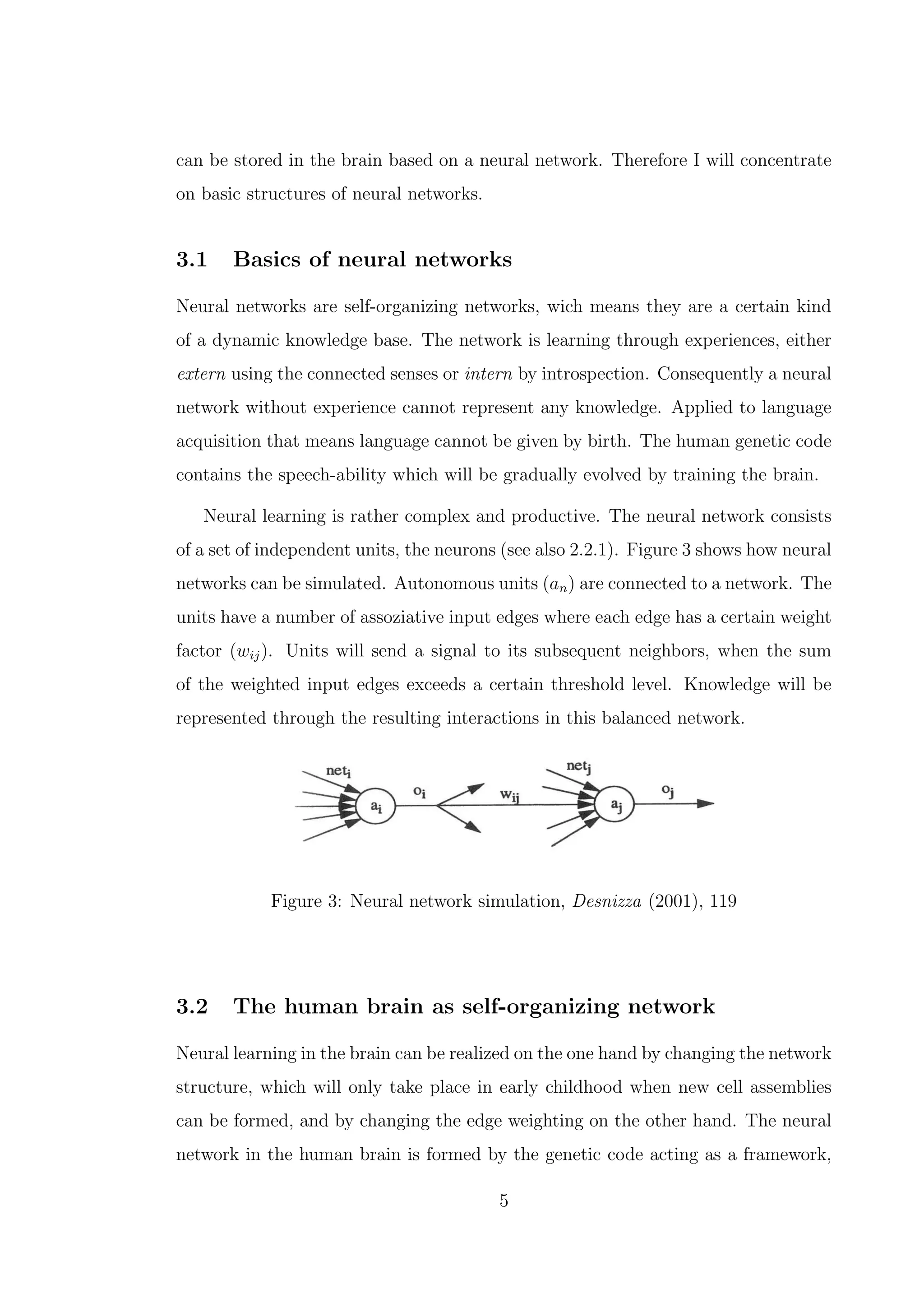 can be stored in the brain based on a neural network. Therefore I will concentrate
on basic structures of neural networks.
3.1 Basics of neural networks
Neural networks are self-organizing networks, wich means they are a certain kind
of a dynamic knowledge base. The network is learning through experiences, either
extern using the connected senses or intern by introspection. Consequently a neural
network without experience cannot represent any knowledge. Applied to language
acquisition that means language cannot be given by birth. The human genetic code
contains the speech-ability which will be gradually evolved by training the brain.
Neural learning is rather complex and productive. The neural network consists
of a set of independent units, the neurons (see also 2.2.1). Figure 3 shows how neural
networks can be simulated. Autonomous units (an) are connected to a network. The
units have a number of assoziative input edges where each edge has a certain weight
factor (wij). Units will send a signal to its subsequent neighbors, when the sum
of the weighted input edges exceeds a certain threshold level. Knowledge will be
represented through the resulting interactions in this balanced network.
Figure 3: Neural network simulation, Desnizza (2001), 119
3.2 The human brain as self-organizing network
Neural learning in the brain can be realized on the one hand by changing the network
structure, which will only take place in early childhood when new cell assemblies
can be formed, and by changing the edge weighting on the other hand. The neural
network in the human brain is formed by the genetic code acting as a framework,
5
 