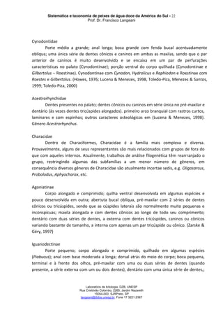 Sistemática e taxonomia de peixes de água doce da América do Sul - 22
Prof. Dr. Francisco Langeani
Laboratório de Ictiologia, DZB, UNESP
Rua Cristóvão Colombo, 2265, Jardim Nazareth
15054-000, SJRPreto, SP
langeani@ibilce.unesp.br, Fone 17 3221.2367
Cynodontidae
Porte médio a grande; anal longa; boca grande com fenda bucal acentuadamente
oblíqua; uma única série de dentes cônicos e caninos em ambas as maxilas, sendo que o par
anterior de caninos é muito desenvolvido e se encaixa em um par de perfurações
características no palato (Cynodontinae); porção ventral do corpo quilhada (Cynodontinae e
Gilbertolus – Roestinae). Cynodontinae com Cynodon, Hydrolicus e Raphiodon e Roestinae com
Roestes e Gilbertolus. (Howes, 1976; Lucena & Menezes, 1998, Toledo-Piza, Menezes & Santos,
1999; Toledo-Piza, 2000)
Acestrorhynchidae
Dentes presentes no palato; dentes cônicos ou caninos em série única no pré-maxilar e
dentário (às vezes dentes tricúspides alongados). primeiro arco branquial com rastros curtos,
laminares e com espinhos; outros caracteres osteológicos em (Lucena & Menezes, 1998).
Gênero Acestrorhynchus.
Characidae
Dentro de Characiformes, Characidae é a família mais complexa e diversa.
Provavelmente, alguns de seus representantes são mais relacionados com grupos de fora do
que com aqueles internos. Atualmente, trabalhos de análise filogenética têm rearrranjado o
grupo, restringindo algumas das subfamílias a um menor número de gêneros, em
consequência diversos gêneros de Characidae são atualmente incertae sedis, e.g. Oligosarcus,
Probolodus, Aphyocharax, etc.
Agoniatinae
Corpo alongado e comprimido; quilha ventral desenvolvida em algumas espécies e
pouco desenvolvida em outra; abertuta bucal oblíqua, pré-maxilar com 2 séries de dentes
cônicos ou tricúspides, sendo que as cúspides laterais são normalmente muito pequenas e
inconspícuas; maxila alongada e com dentes cônicos ao longo de todo seu comprimento;
dentário com duas séries de dentes, a externa com dentes tricúspides, caninos ou cônicos
variando bastante de tamanho, a interna com apenas um par tricúspide ou cônico. (Zarske &
Géry, 1997)
Iguanodectinae
Porte pequeno; corpo alongado e comprimido, quilhado em algumas espécies
(Piabucus); anal com base moderada a longa; dorsal atrás do meio do corpo; boca pequena,
terminal e à frente dos olhos, pré-maxilar com uma ou duas séries de dentes (quando
presente, a série externa com um ou dois dentes), dentário com uma única série de dentes,;
 
