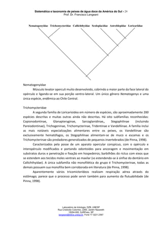 Sistemática e taxonomia de peixes de água doce da América do Sul - 29
Prof. Dr. Francisco Langeani
Laboratório de Ictiologia, DZB, UNESP
Rua Cristóvão Colombo, 2265, Jardim Nazareth
15054-000, SJRPreto, SP
langeani@ibilce.unesp.br, Fone 17 3221.2367
Nematogenyidae
Músculo levator operculi muito desenvolvido, cobrindo a maior parte da face lateral do
opérculo e ligando-se em sua porção ventro-lateral. Um único gênero Nematogenys e uma
única espécie, endêmica ao Chile Central.
Trichomycteridae
A segunda família de Loricarioidea em número de espécies, são aproximadamente 200
espécies descritas e muitas outras ainda não descritas. Há oito subfamílias reconhecidas:
Copionodontinae, Glanapteryginae, Sarcoglanidinae,, Stegophilinae (incluindo
Pareiodontinae), Trichogeninae, Trichomycterinae, Tridentinae e Vandelliinae. A família inclui
as mais notáveis especializações alimentares entre os peixes, os Vandelliinae são
exclusivamente hematófagos, os Stegophilinae alimentam-se de muco e escamas e os
Trichomycterinae são predadores generalizados de pequenos invertebrados (de Pinna, 1998).
Caracterizados pela posse de um aparato opercular conspícuo, com o opérculo e
interopérculo modificados e portando odontoides para ancoragem e movimentação em
substratos duros e penetração e fixação em hospedeiros; barbilhões do rictus com eixos que
se estendem aos tecidos moles ventrais ao maxilar (vs estendendo-se à sínfise do dentário em
Callichthyidae). A única subfamília não monofilética do grupo é Trichomycterinae, todas as
demais possuem sua monofilia bem corroborada em literatura (de Pinna, 1998).
Aparentemente vários tricomicterídeos realizam respiração aérea através do
estômago; parece que o processo pode servir também para aumento da flutuabilidade (de
Pinna, 1998).
Nematogenyidae Trichomycteridae Callichthyidae Scoloplacidae Astroblepidae Loricariidae
 