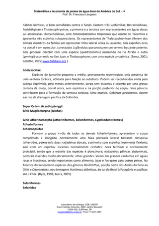Sistemática e taxonomia de peixes de água doce da América do Sul - 34
Prof. Dr. Francisco Langeani
Laboratório de Ictiologia, DZB, UNESP
Rua Cristóvão Colombo, 2265, Jardim Nazareth
15054-000, SJRPreto, SP
langeani@ibilce.unesp.br, Fone 17 3221.2367
hábitos bênticos, e bem camuflados contra o fundo. Existem três subfamílias: Batrachoidinae,
Porichthyinae e Thalassophryninae, a primeira e a terceira com representantes em águas doces
sul americanas. Batrachoidinae, com Potamobatrachus trispinosus que ocorre no Tocantins e
apresenta três espinhos suboperculares. Os representantes de Thalassophryninae diferem dos
demais membros da família por apresentar linha lateral única ou ausente, dois espinhos ocos
na dorsal e um opercular, conectados à glândulas que produzem um veneno bastante potente;
dois gêneros: Daector com uma espécie (quadrizonatus) ocorrendo no rio Atrato e outra
(gerringi) ocorrendo no San Juan, e Thalassophryne, com uma espécie amazônica. (Berra, 2001;
Collette, 1995; www.fishbase.org ).
Gobiesocidae
Espécies de tamanho pequeno a médio, prontamente reconhecidas pela presença de
uma ventosa torácica, utilizada para fixação ao substrato. Podem ser reconhecidos ainda pela
cabeça deprimida, pelo menos anteriormente, corpo sem escamas e coberto por uma grossa
camada de muco, dorsal única, sem espinhos e na porção posterior do corpo, raios pélvicos
contribuem para a formação da ventosa torácica. Uma espécie, Gobiesox juradoensis, ocorre
em rios da drenagem pacífica da Colômbia.
Super Ordem Acanthopterygii
Série Mugilomorpha (tainhas)
Série Atherinomorpha (Atheriniformes, Beloniformes, Cyprinodontiformes)
Atheriniformes
Atherinopsidae
Formam o grupo irmão de todos os demais Atheriniformes; apresentam o corpo
comprimido e alongado, normalmente uma faixa prateada lateral bastante conspícua
(silversides, peixes-rei); duas nadadeiras dorsais, a primeira com espinhos levemente flexíveis;
anal com um espinho; escamas normalmente ciclóides; boca terminal e normalmente
protráctil, sendo que a maioria das espécies é planctívora; nadadeiras pélvicas abdominais,
peitorais inseridas medio-dorsalmente; olhos grandes. Vivem em grandes cardumes em águas
rasas e litorâneas, sendo importantes como alimento, iscas e forragem para outros peixes. Na
América do Sul ocorrem espécies dos gêneros Basilichthys, porção oeste dos Andes do Peru ao
Chile e Odontesthes, nas drenagens litorâneas atlânticas, do sul do Brasil à Patagônia e pacíficas
até o Chile. (Dyer, 1998; Berra, 2001).
Beloniformes
Belonidae
 
