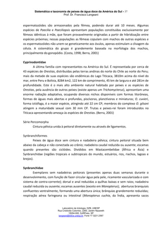 Sistemática e taxonomia de peixes de água doce da América do Sul - 37
Prof. Dr. Francisco Langeani
Laboratório de Ictiologia, DZB, UNESP
Rua Cristóvão Colombo, 2265, Jardim Nazareth
15054-000, SJRPreto, SP
langeani@ibilce.unesp.br, Fone 17 3221.2367
espermatozóides são armazenados pela fêmea, podendo durar até 10 meses. Algumas
espécies de Poecilia e Poeciliopsis apresentam populações constituídas exclusivamente por
fêmeas idênticas à mãe, que foram provavelmente originadas a partir de hibridização entre
espécies próximas; nessas populações as fêmeas copulam com machos de outras espécies e
os espermatozóides não unem-se geneticamente aos óvulos, apenas estimulam a clivagem da
célula. A sistemática do grupo é grandemente baseada na morfologia dos machos,
principalmente do gonopódio. (Costa, 1998; Berra, 2001)
Cyprinodontidae
A última família com representantes na América do Sul. É representada por cerca de
43 espécies de Orestias, distribuídas pelas terras andinas do norte do Chile ao norte do Peru;
mais da metade de suas espécies são endêmicas do Lago Titicaca, 3810m acima do nível do
mar, entre Peru e Bolívia, 8284 km2, 122 km de comprimento, 45 km de largura e até 281m de
profundidade. Este é o mais alto ambiente natural habitado por peixes e as espécies de
Orestias, pela ausência de outros peixes (existe apenas um Trichomycterus), apresentam uma
enorme radiação adaptativa, ocupando diversos nichos disponíveis com formas litorâneas,
formas de águas mais abertas e profundas, piscívoras, planctívoras e miniaturas; O. cuvieri,
forma ictiófaga, é a maior espécie, atingindo até 22 cm CP; membros do complexo O. gilsoni
atingem a maturidade sexual com 30 mm CP. Trutas e peixes-rei foram introduzidos no
Titicaca apresentando ameaça às espécies de Orestias. (Berra, 2001)
Série Percomorpha
Cintura pélvica unida à peitoral diretamente ou através de ligamentos.
Synbranchiformes
Peixes de água doce sem cintura e nadadeira pélvica; cintura peitoral situada bem
abaixo da cabeça e não conectada ao crânio; nadadeira caudal reduzida ou ausente; escamas
quando presentes são ciclóides. Divididos em Mastacembelidae (África e Ásia) e
Synbranchidae (regiões tropicais e subtropicais do mundo, estuários, rios, riachos, lagoas e
brejos).
Synbranchidae
Exemplares sem nadadeiras peitorais (presentes apenas duas semanas durante o
desenvolvimento, com função de fazer circular água pela pele, ricamente vascularizada e com
sistema de contra-corrente); dorsal e anal reduzidas a quilhas baixas e sem raios; nadadeira
caudal reduzida ou ausente; escamas ausentes (exceto em Monopterus); aberturas branquiais
confluentes ventralmente, formando uma abertura única; brânquias grandemente reduzidas;
respiração aérea faringeana ou intestinal (Monopterus cuchia, da Índia, apresenta sacos
 