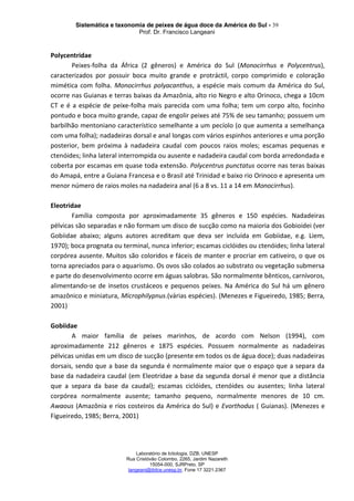 Sistemática e taxonomia de peixes de água doce da América do Sul - 39
Prof. Dr. Francisco Langeani
Laboratório de Ictiologia, DZB, UNESP
Rua Cristóvão Colombo, 2265, Jardim Nazareth
15054-000, SJRPreto, SP
langeani@ibilce.unesp.br, Fone 17 3221.2367
Polycentridae
Peixes-folha da África (2 gêneros) e América do Sul (Monocirrhus e Polycentrus),
caracterizados por possuir boca muito grande e protráctil, corpo comprimido e coloração
mimética com folha. Monocirrhus polyacanthus, a espécie mais comum da América do Sul,
ocorre nas Guianas e terras baixas da Amazônia, alto rio Negro e alto Orinoco, chega a 10cm
CT e é a espécie de peixe-folha mais parecida com uma folha; tem um corpo alto, focinho
pontudo e boca muito grande, capaz de engolir peixes até 75% de seu tamanho; possuem um
barbilhão mentoniano característico semelhante a um pecíolo (o que aumenta a semelhança
com uma folha); nadadeiras dorsal e anal longas com vários espinhos anteriores e uma porção
posterior, bem próxima à nadadeira caudal com poucos raios moles; escamas pequenas e
ctenóides; linha lateral interrompida ou ausente e nadadeira caudal com borda arredondada e
coberta por escamas em quase toda extensão. Polycentrus punctatus ocorre nas teras baixas
do Amapá, entre a Guiana Francesa e o Brasil até Trinidad e baixo rio Orinoco e apresenta um
menor número de raios moles na nadadeira anal (6 a 8 vs. 11 a 14 em Monocirrhus).
Eleotridae
Família composta por aproximadamente 35 gêneros e 150 espécies. Nadadeiras
pélvicas são separadas e não formam um disco de sucção como na maioria dos Gobioidei (ver
Gobiidae abaixo; alguns autores acreditam que deva ser incluída em Gobiidae, e.g. Liem,
1970); boca prognata ou terminal, nunca inferior; escamas ciclóides ou ctenóides; linha lateral
corpórea ausente. Muitos são coloridos e fáceis de manter e procriar em cativeiro, o que os
torna apreciados para o aquarismo. Os ovos são colados ao substrato ou vegetação submersa
e parte do desenvolvimento ocorre em águas salobras. São normalmente bênticos, carnívoros,
alimentando-se de insetos crustáceos e pequenos peixes. Na América do Sul há um gênero
amazônico e miniatura, Microphilypnus.(várias espécies). (Menezes e Figueiredo, 1985; Berra,
2001)
Gobiidae
A maior família de peixes marinhos, de acordo com Nelson (1994), com
aproximadamente 212 gêneros e 1875 espécies. Possuem normalmente as nadadeiras
pélvicas unidas em um disco de sucção (presente em todos os de água doce); duas nadadeiras
dorsais, sendo que a base da segunda é normalmente maior que o espaço que a separa da
base da nadadeira caudal (em Eleotridae a base da segunda dorsal é menor que a distância
que a separa da base da caudal); escamas ciclóides, ctenóides ou ausentes; linha lateral
corpórea normalmente ausente; tamanho pequeno, normalmente menores de 10 cm.
Awaous (Amazônia e rios costeiros da América do Sul) e Evorthodus ( Guianas). (Menezes e
Figueiredo, 1985; Berra, 2001)
 